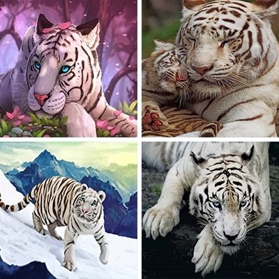 white-tigers-painting-by-numbers