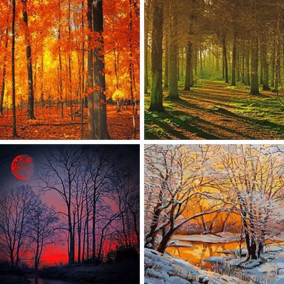 woodland-painting-by-numbers