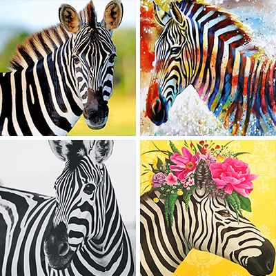 zebra-painting-by-numbers