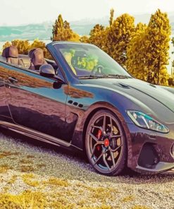 Aesthetic Maserati Grancabrio paint by numbers