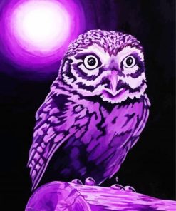 Purple Owl Bird paint by numbers