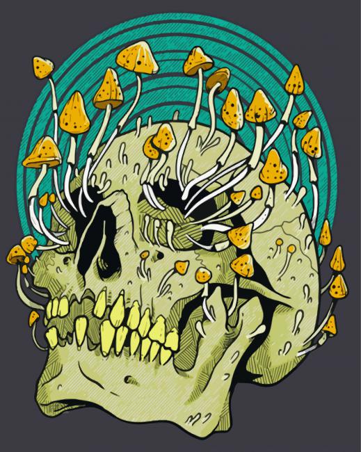 Trippy Mushroom Skull paint by numbers