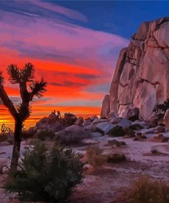 Joshua Tree National Forest Sunset paint by numbers