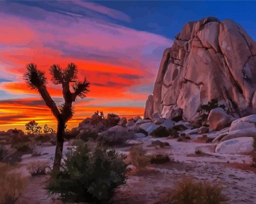 Joshua Tree National Forest Sunset paint by numbers