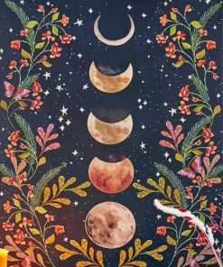 Phases Of The Moon paint by numbers