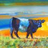 Belted Galloway Cattle paint by numbers