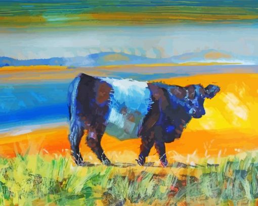 Belted Galloway Cattle paint by numbers