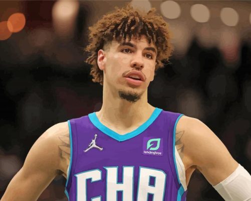   The Basketballer LaMelo Ball paint by numbers