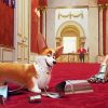 Royal Corgi paint by numbers