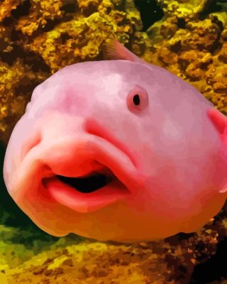 Pink Blobfish   paint by numbers