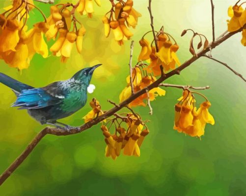 Bird On Kowhai Birch Tree  paint by numbers