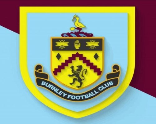 Burnley Football Club  paint by numbers
