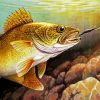Walleye Fish Paint By Numbers