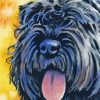 Bouvier Des Flandres Paint By Numbers