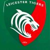 Leicester Tigers Paint By Numbers