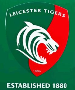 Leicester Tigers Paint By Numbers