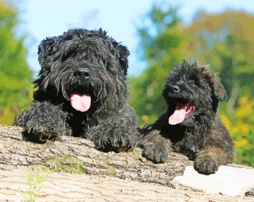 Aesthetic Bouvier Des Flandres Paint By Numbers