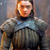 Arya Stark GOT Paint By Numbers