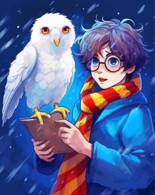 Harry And Hedwig Paint By Numbers 