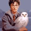 Harry Potter Hedwig Paint By Numbers