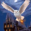 Harry Potter Hedwig Paint By Numbers