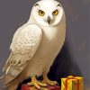 Hedwig Bird Animal Paint By Numbers