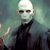 Lord Voldemort Art Paint By Numbers