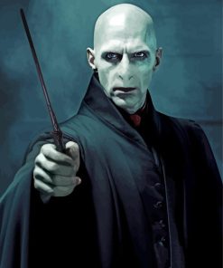 Lord Voldemort From Harry Potter Paint By Numbers