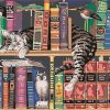 Cats In Bookshelves Paint By Numbers
