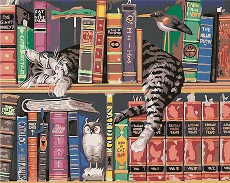 Cats In Bookshelves Paint By Numbers