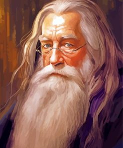 Albus Dumbledore Paint By Numbers