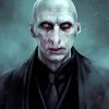 Lord Voldemort In Suit Paint By Numbers