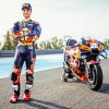 Dani Pedrosa Paint By Numbers
