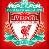Liverpool FC Crest Paint By Numbers
