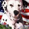 Patriotic Dalmatian Paint By Numbers