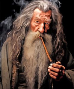 Gandalf Paint By Numbers