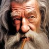 Lord Of The Rings Gandalf Paint By Numbers