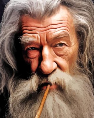 Lord Of The Rings Gandalf Paint By Numbers