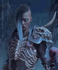 Diablo Necromancer Paint By Numbers