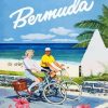 Bermuda Couple Paint By Numbers