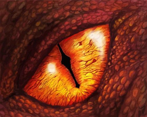 Smaug Eye Paint By Numbers 