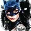 Catwoman And Kitten Paint By Number