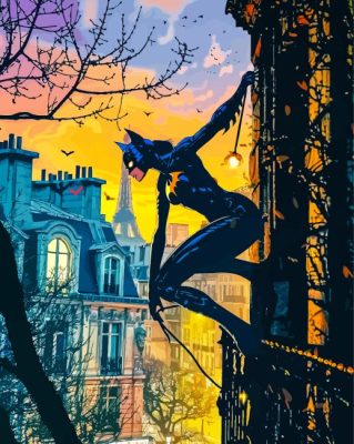 Catwoman Sunset Paint By Number