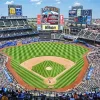 Citi Field Stadium Paint By Numbers