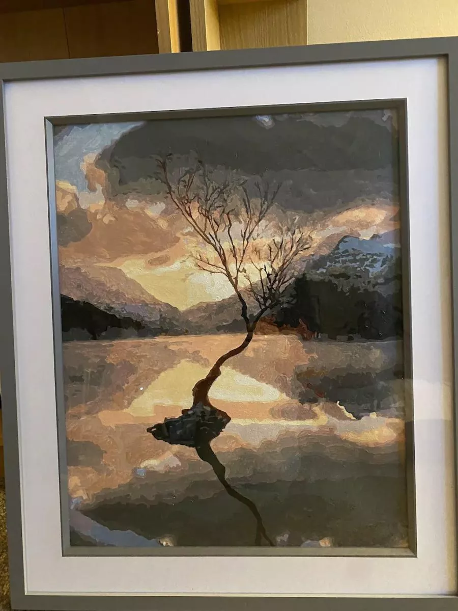 Custom Paint By Numbers​ Landscape rev 6
