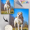 Paint By Numbers Custom​ Pets