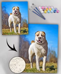 Paint By Numbers Custom​ Pets