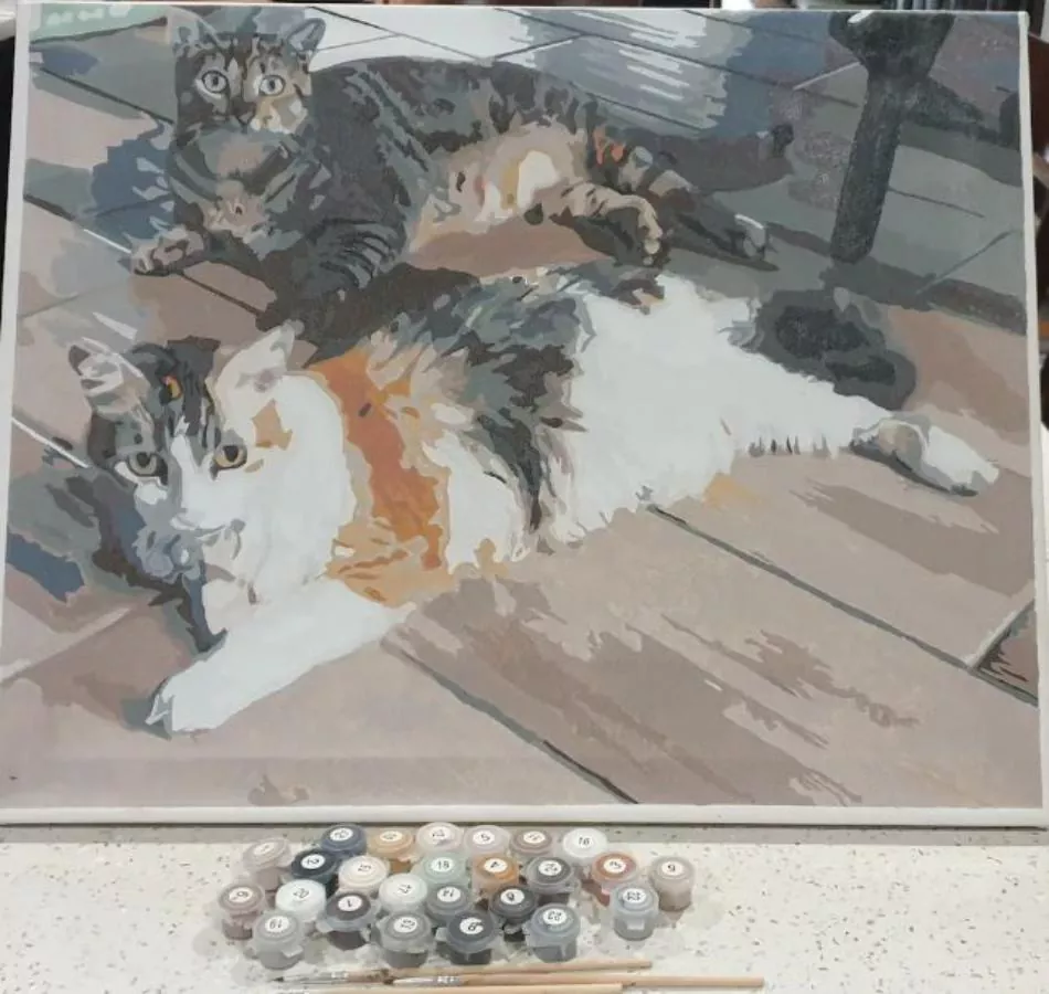 Paint By Numbers Custom​ Pets rev 2