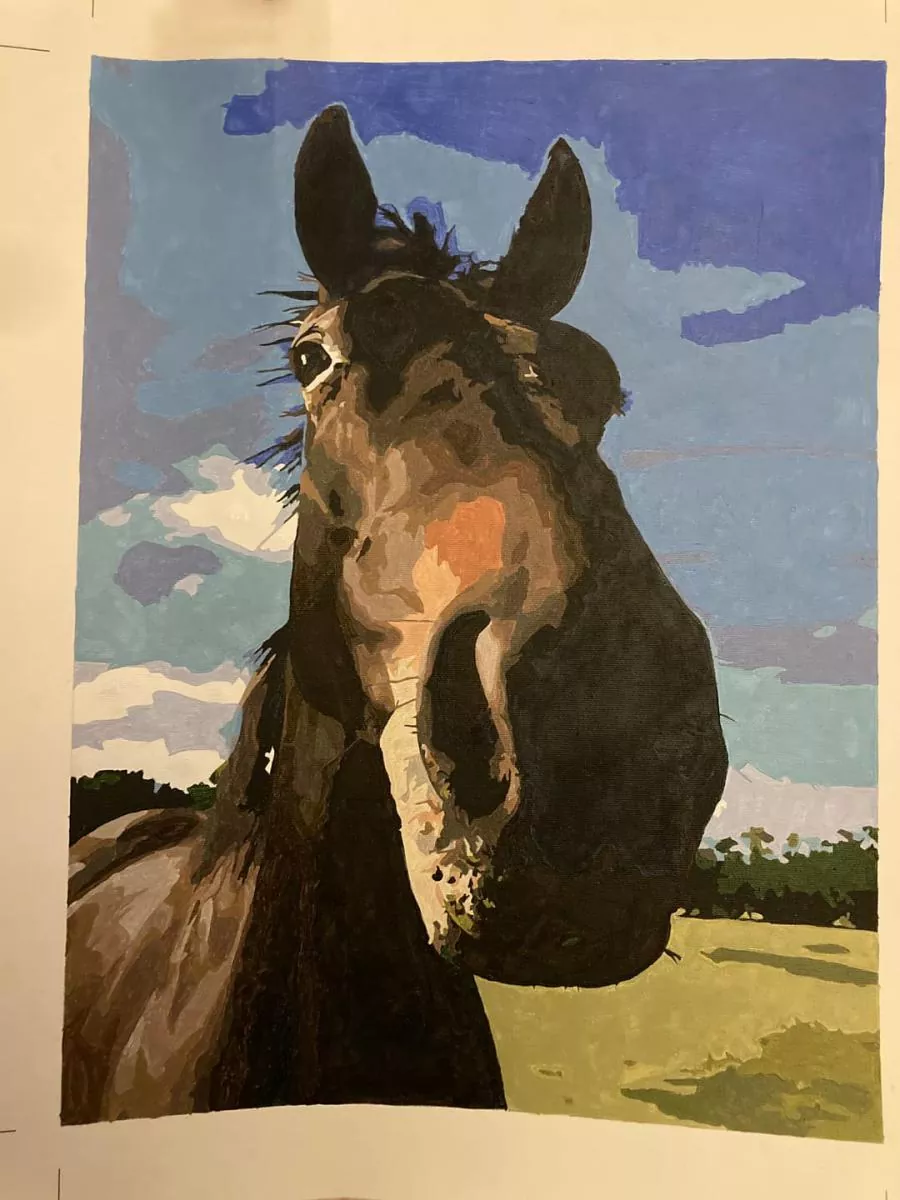 Paint By Numbers Custom​ Pets rev 3